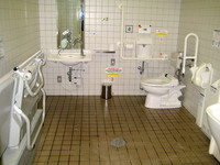 Medium_道の駅神話の里白うさぎ (31)s
